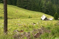 /album/fotogalerie-rakousko-ii/img-3417-jpg/