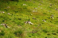 /album/fotogalerie-rakousko-ii/img-3419-jpg/