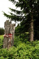 /album/fotogalerie-rakousko-ii/img-3440-jpg1/