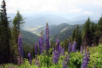 /album/fotogalerie-rakousko-ii/img-3451-jpg/